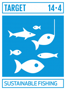 GTI リスト ( GTI List )-SDGs水産資源を、実現可能な最短期間で少なくとも各資源の生物学的特性によって定められる最大持続生産量のレベルまで回復させるため、2020年までに、漁獲を効果的に規制し、過剰漁業や違法・無報告・無規制（IUU）漁業及び破壊的な漁業慣行を終了し、科学的な管理計画を実施する。
