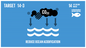 GTI リスト ( GTI List )-SDGsあらゆるレベルでの科学的協力の促進などを通じて、海洋酸性化の影響を最小限化し、対処する。