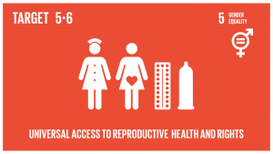 GTI リスト ( GTI List )-SDGs国際人口・開発会議（ICPD）の行動計画及び北京行動綱領、並びにこれらの検証会議の成果文書に従い、性と生殖に関する健康及び権利への普遍的アクセスを確保する。